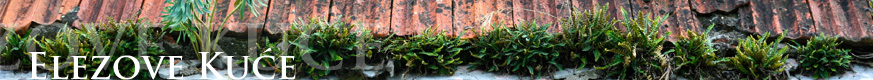 elezove